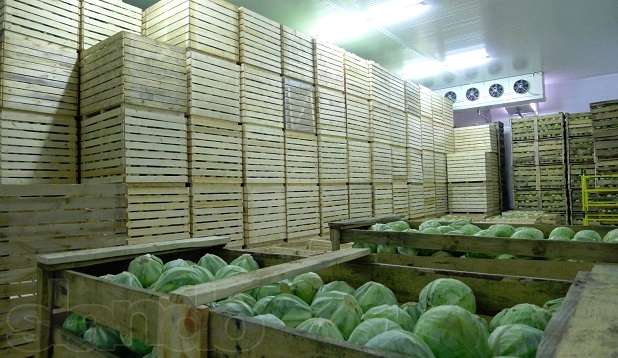 88530687_7_644x461_oborudovanie-dlya-hraneniya-ovoscheykamery-holodilnye-.jpg
